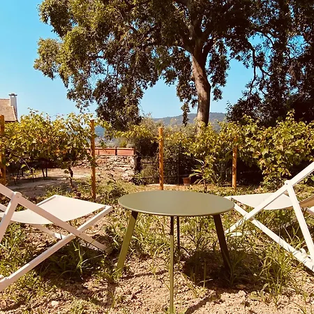 Apartment Casa La Meridiana Laigueglia